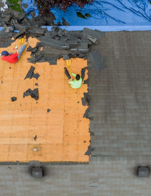 Removal of old roof replacement with new shingles of an apartment building